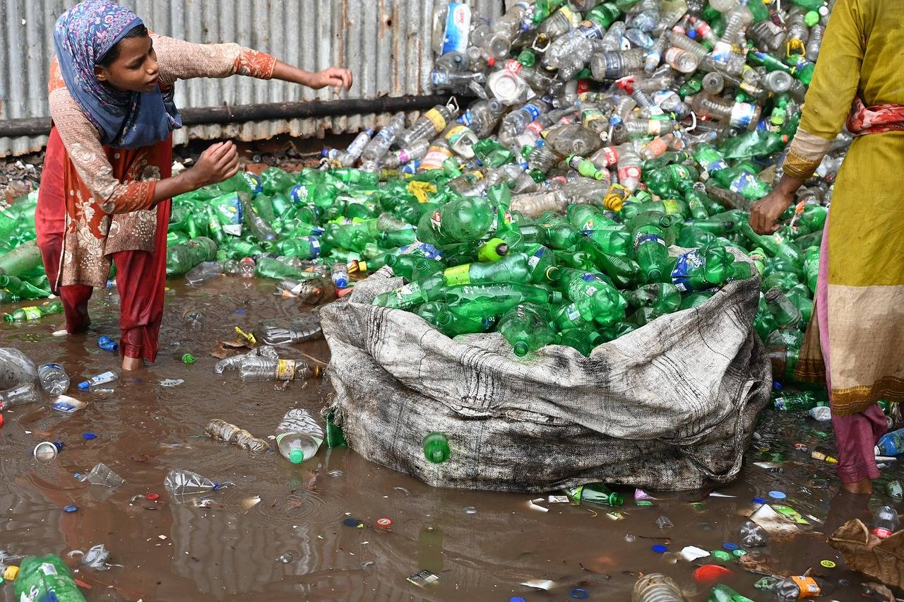 Kiedy jest wywóz śmieci w Twojej okolicy?